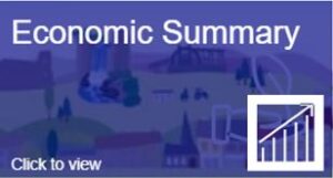 Economic Summary Icon for Switchboard